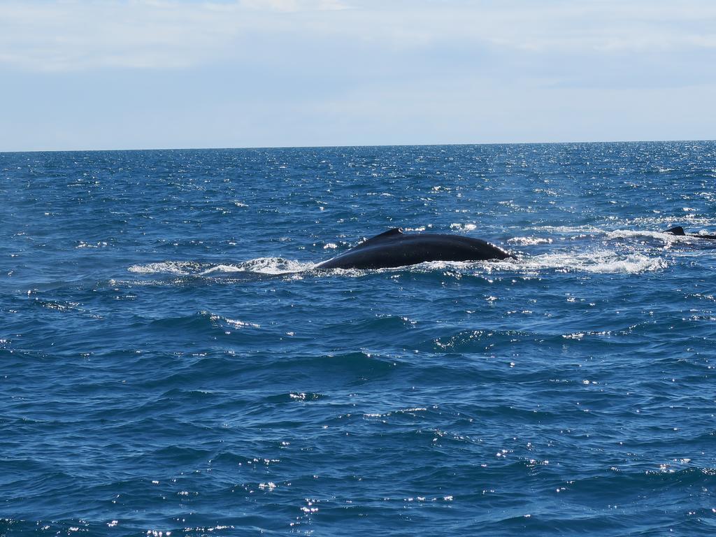Hotel Marina Porto Abrolhos カラベラス エクステリア 写真